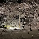 The Sweet Escape Premium With Pool וילה *