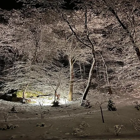 The Sweet Escape Premium With Pool Villa *