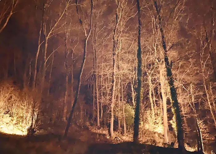 The Sweet Escape Premium With Pool Villa Theux