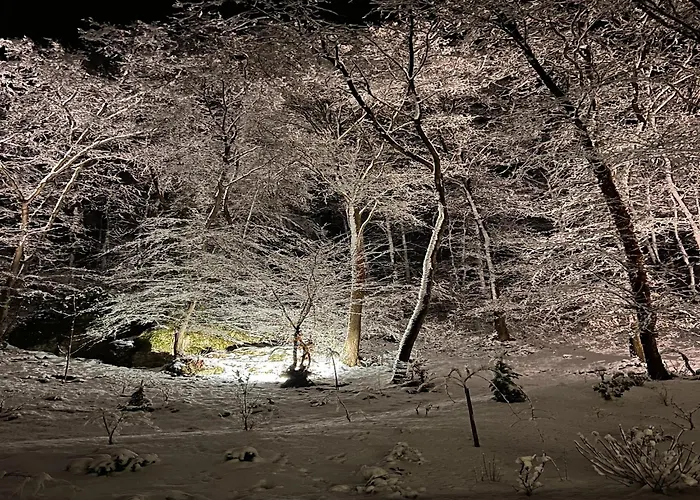 The Sweet Escape Premium With Pool Villa *